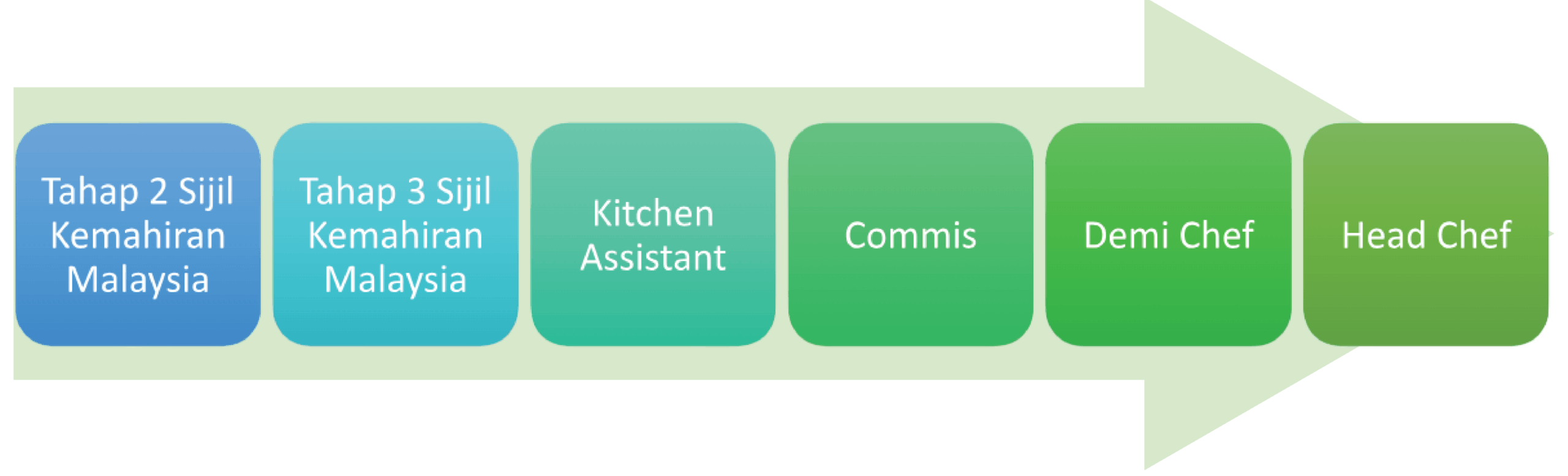 Chef career path