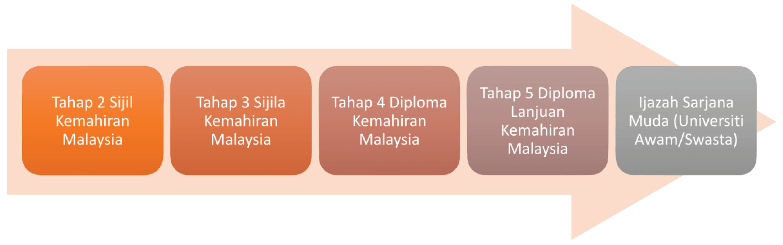 education path